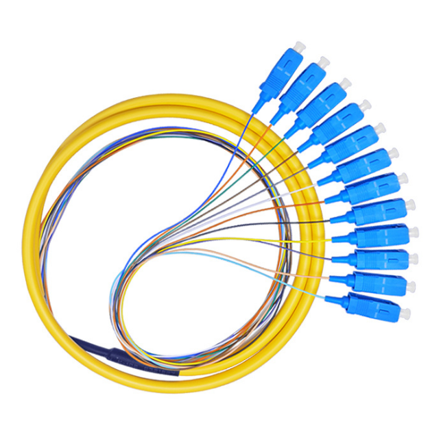 12芯SC/PC束状尾纤